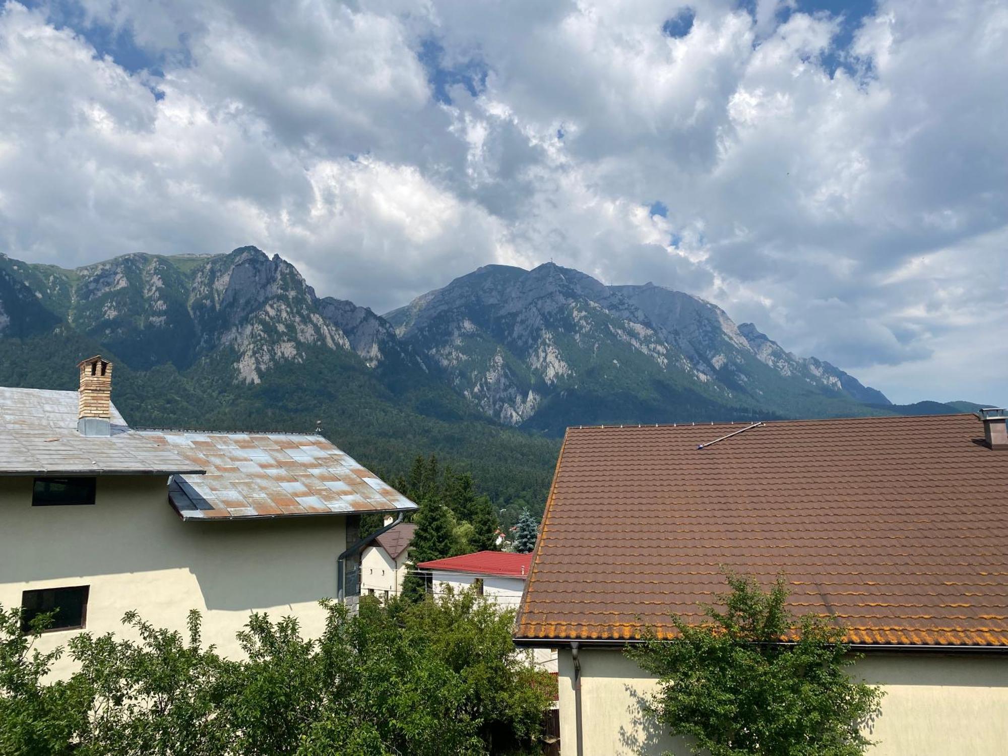 Vila Maris Busteni Bagian luar foto